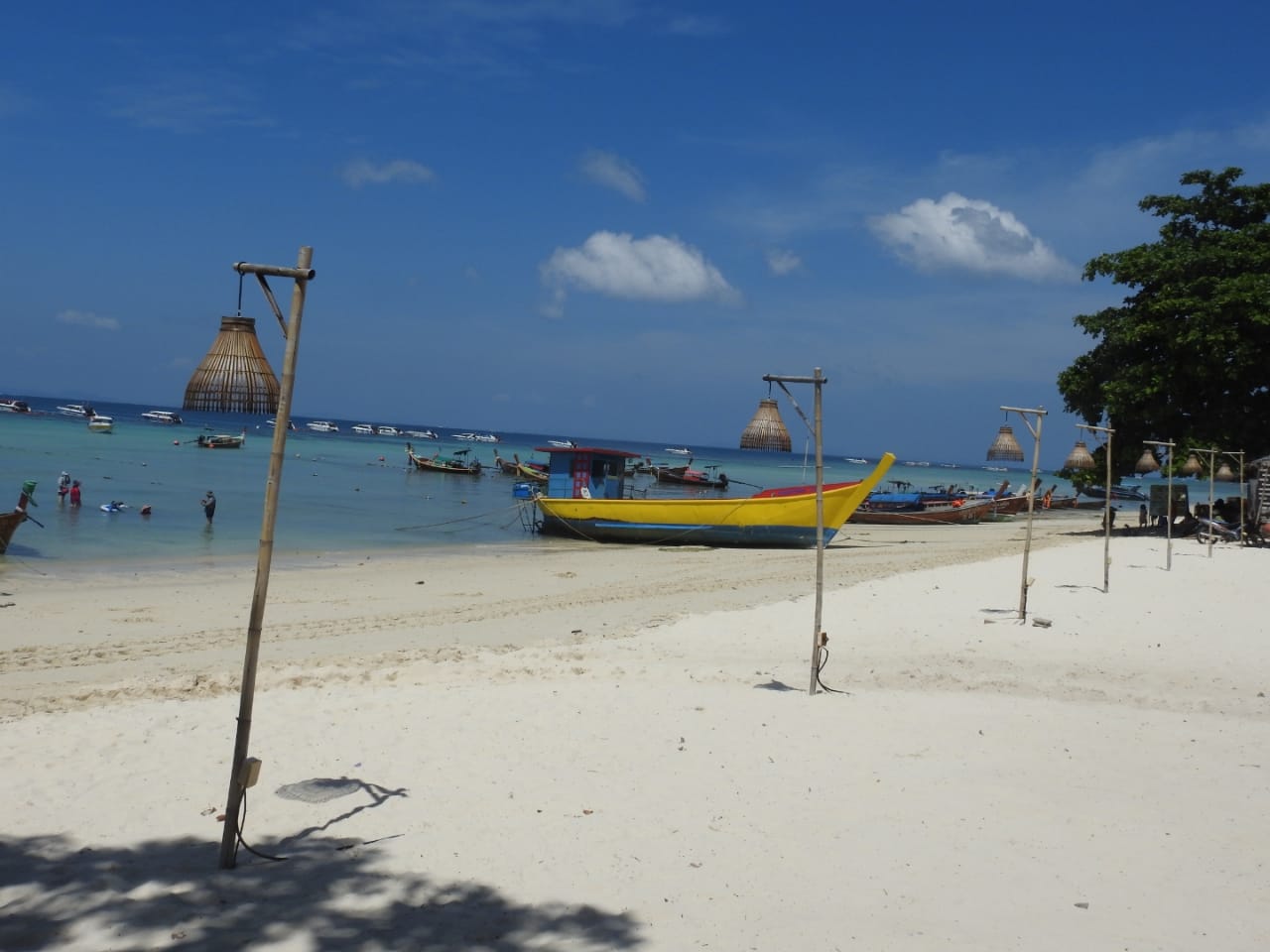 The land of Vivacious